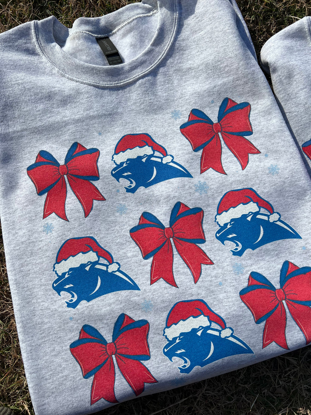 Festive Panthers Printed Sweatshirt, Ash