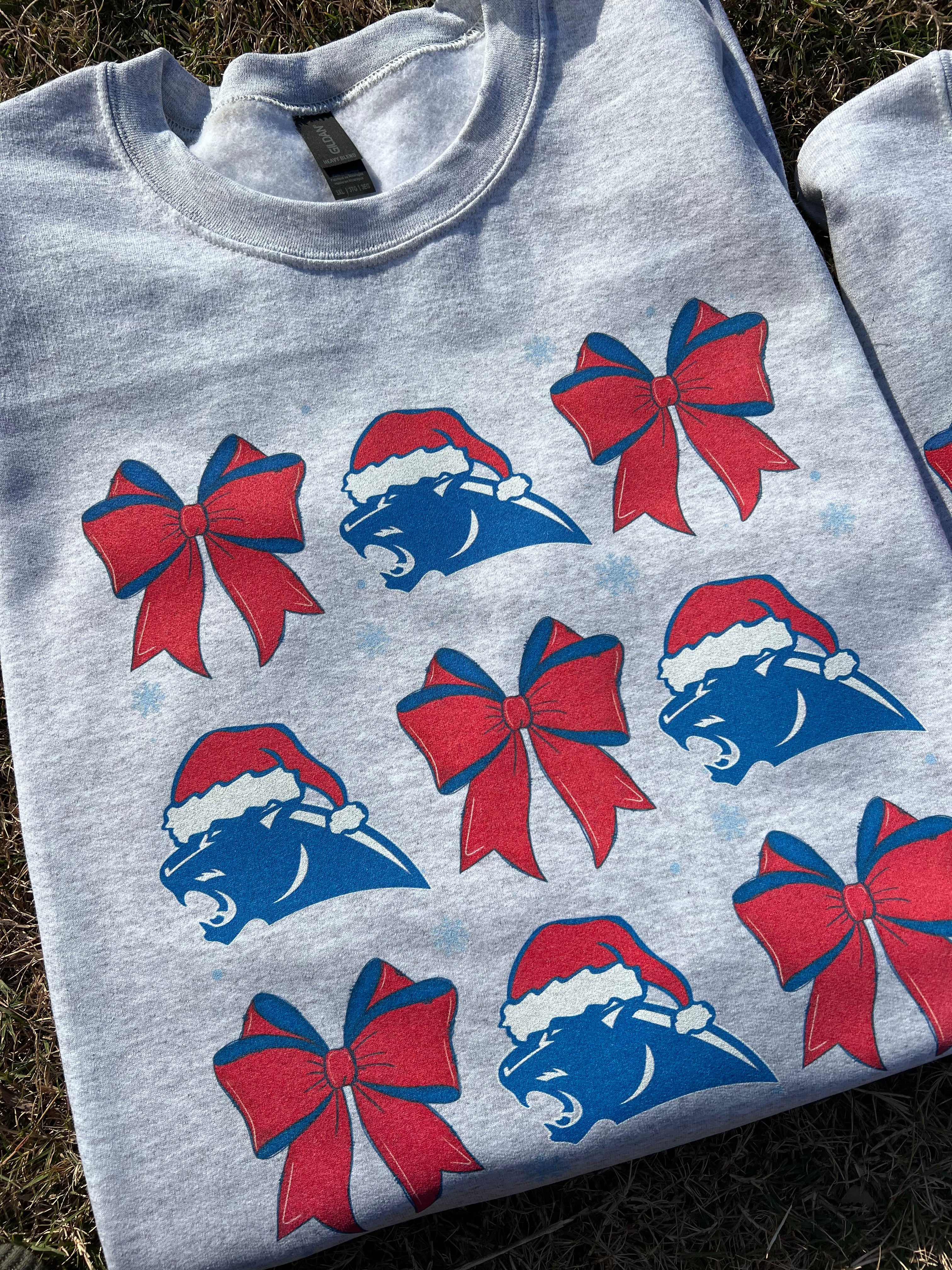 Festive Panthers Printed Sweatshirt, Ash